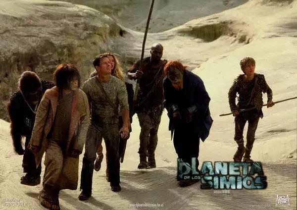 大猩猩最大寿命，史上最燃大猩猩临走前把人类干翻了