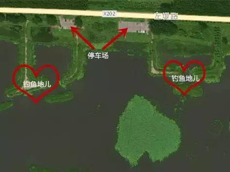 森林公园门票包含哪些，这个森林公园18683亩