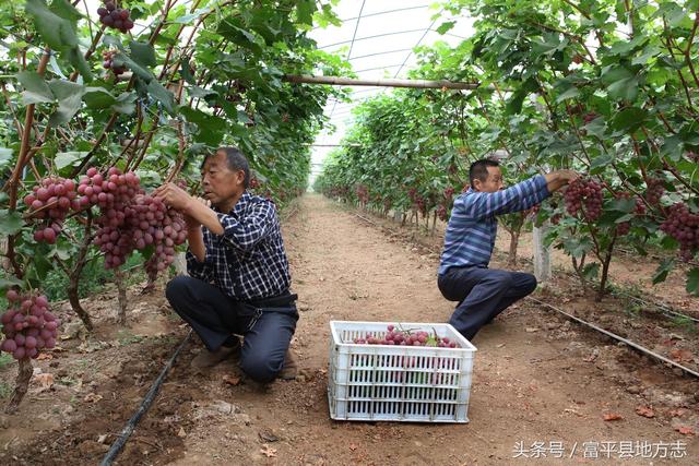 陕西富平县属于哪个市，富平县地名释义（富平市属于哪里）