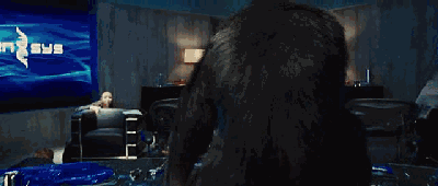 大猩猩最大寿命，史上最燃大猩猩临走前把人类干翻了