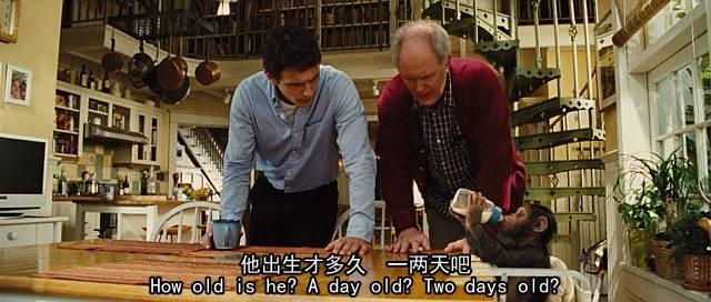 大猩猩最大寿命，史上最燃大猩猩临走前把人类干翻了