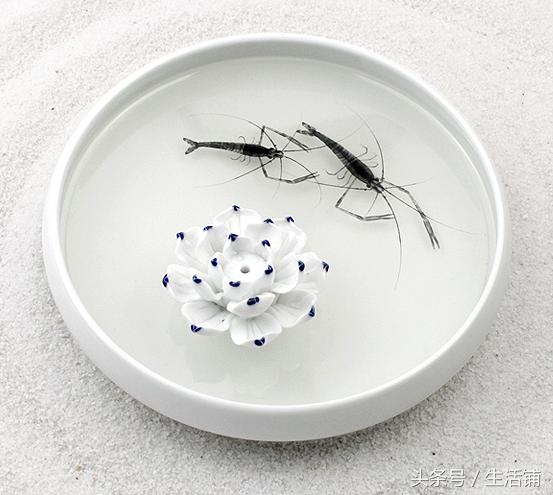 见过最好的创意礼物，创意精致的礼物搜集