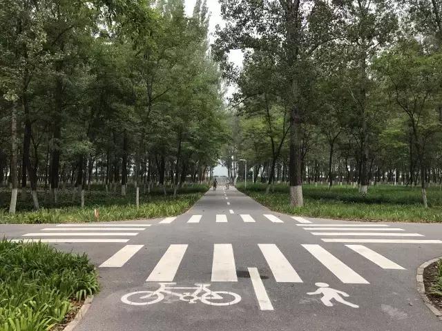 森林公园门票包含哪些，这个森林公园18683亩