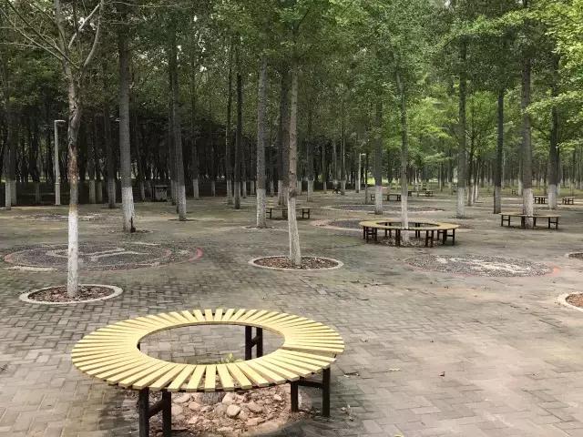 森林公园门票包含哪些，这个森林公园18683亩