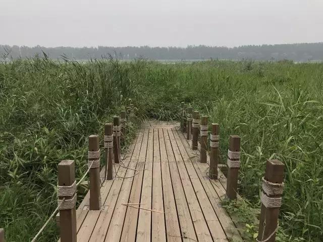森林公园门票包含哪些，这个森林公园18683亩