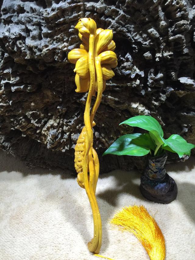 小叶黄杨是什么木，小叶黄杨---光洁如丝