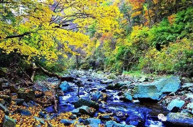 陇南甘南自驾游游记，<二>小姑娘言出秀口