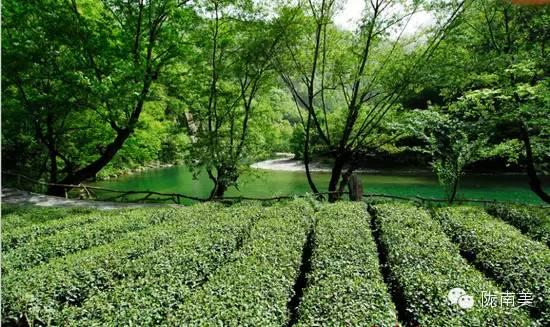 陇南甘南自驾游游记，<二>小姑娘言出秀口