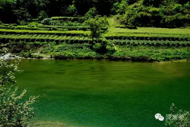 陇南甘南自驾游游记，<二>小姑娘言出秀口