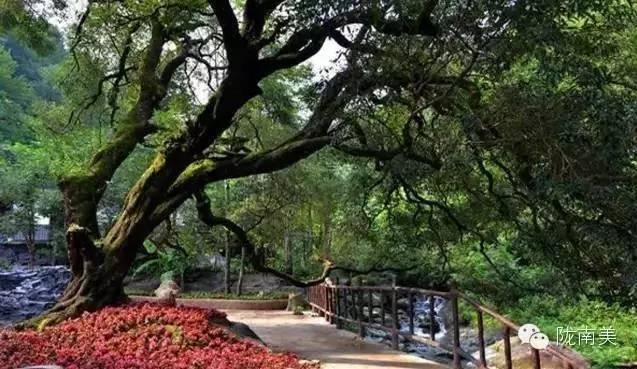 陇南甘南自驾游游记，<二>小姑娘言出秀口