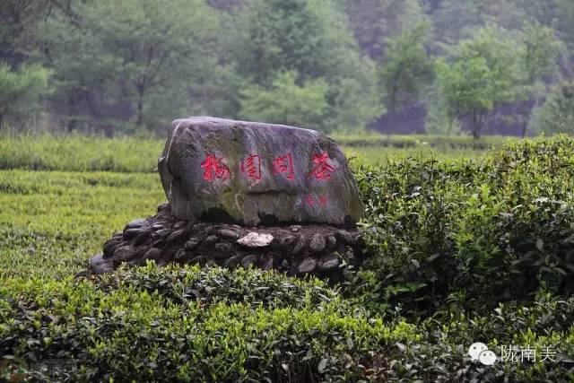 陇南甘南自驾游游记，<二>小姑娘言出秀口