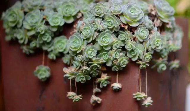 在广州生活这16个技巧请务必知道，这16个技巧请务必知道