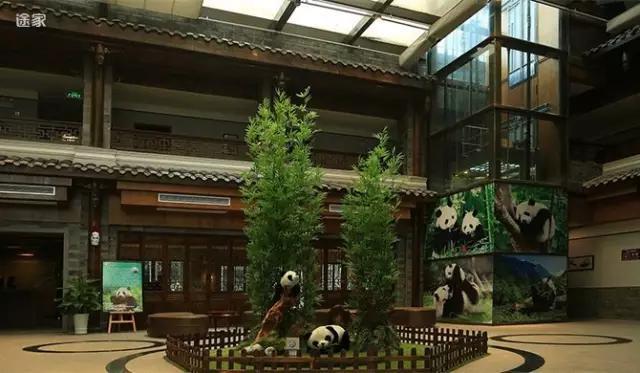 精品度假民宿推荐，国内竟有这么美的亲子民宿