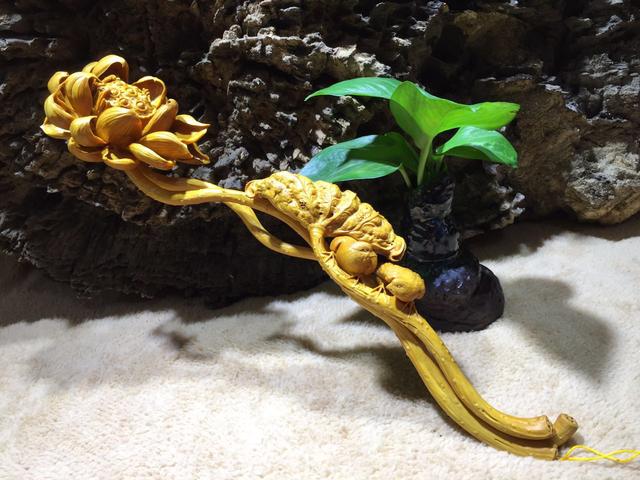 小叶黄杨是什么木，小叶黄杨---光洁如丝