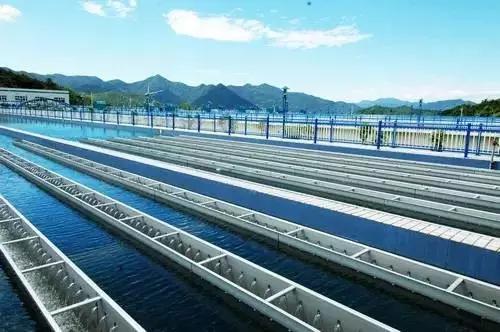 在广州生活这16个技巧请务必知道，这16个技巧请务必知道