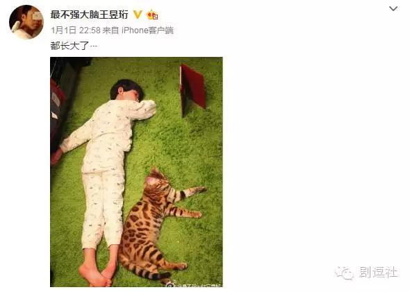 日本人评价王昱珩，最强大脑王昱珩所有的挑战（世上真的有天才——爱国水哥王昱珩）