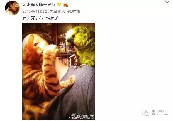 日本人评价王昱珩，最强大脑王昱珩所有的挑战（世上真的有天才——爱国水哥王昱珩）