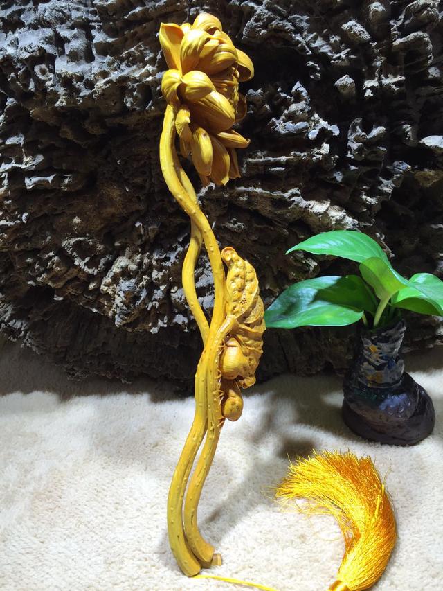 小叶黄杨是什么木，小叶黄杨---光洁如丝