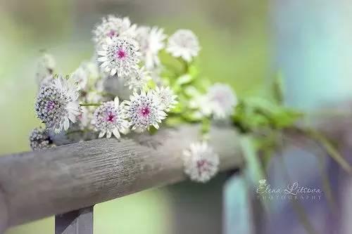 三月份又啥节日，三月你好三月里居然有这么多节日