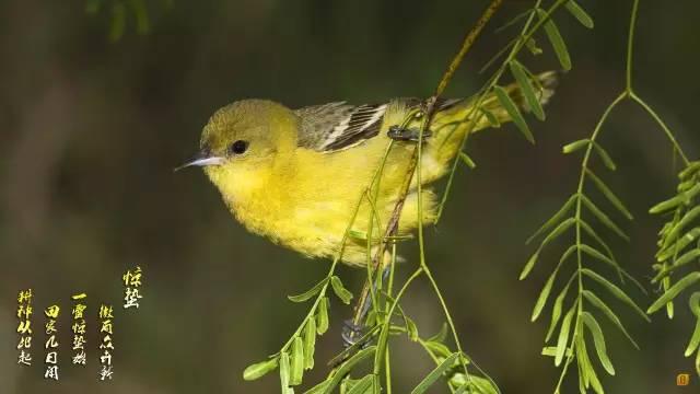 三月份又啥节日，三月你好三月里居然有这么多节日