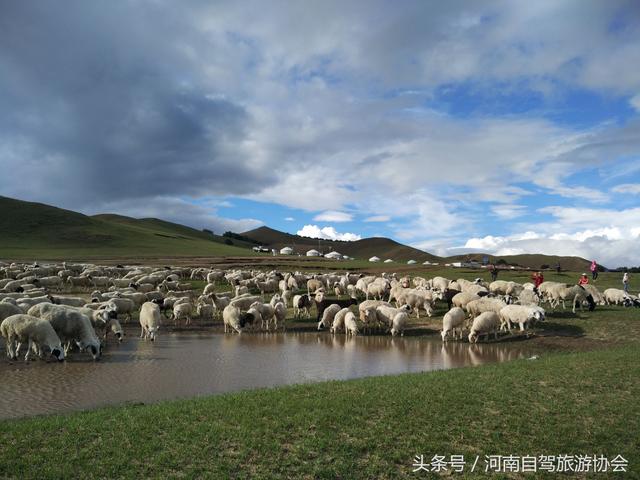 草原天路免费自驾游攻略，河南出发草原天路6天自驾行程