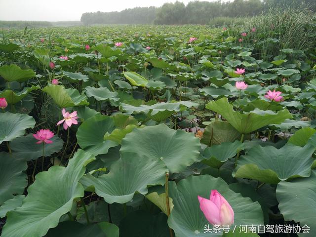 草原天路免费自驾游攻略，河南出发草原天路6天自驾行程