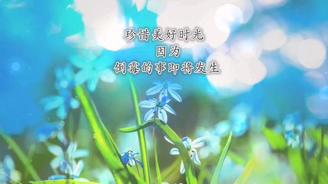 21句毒鸡汤，比心灵鸡汤有价值多了