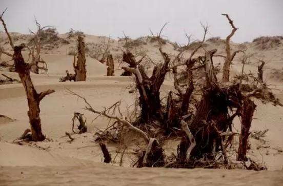 一日游古城遗址，真实的精绝古城遗址旅游攻略