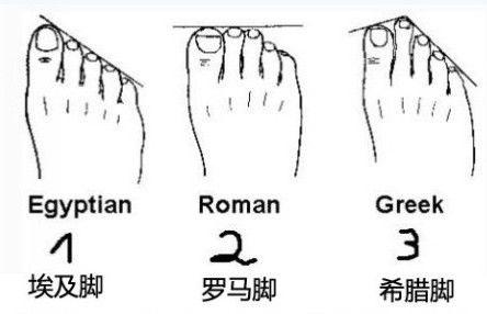 脚趾头长什么样的是有福气，一个比一个更有福气