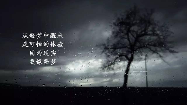 21句毒鸡汤,比心灵鸡汤有价值多了
