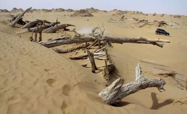 一日游古城遗址，真实的精绝古城遗址旅游攻略