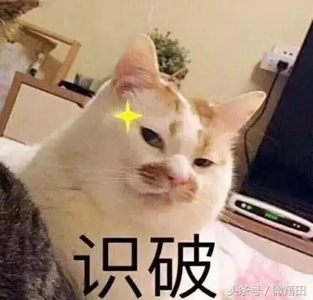 莆田：七夕送什么礼物给女朋友好呢？200元以内的，在线等急啊 情人节送什么