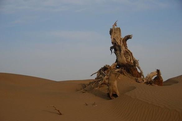 一日游古城遗址，真实的精绝古城遗址旅游攻略