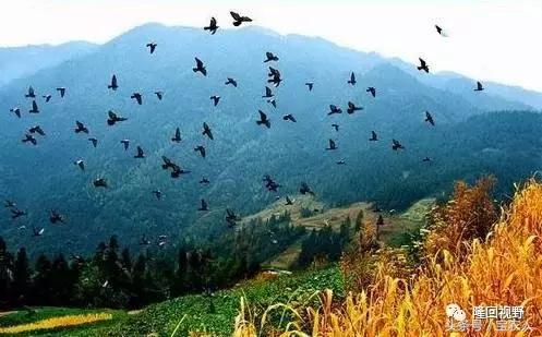 隆回旅游景点大全，隆回附近景点有哪些好玩的地方（今日是国家3A级景区）