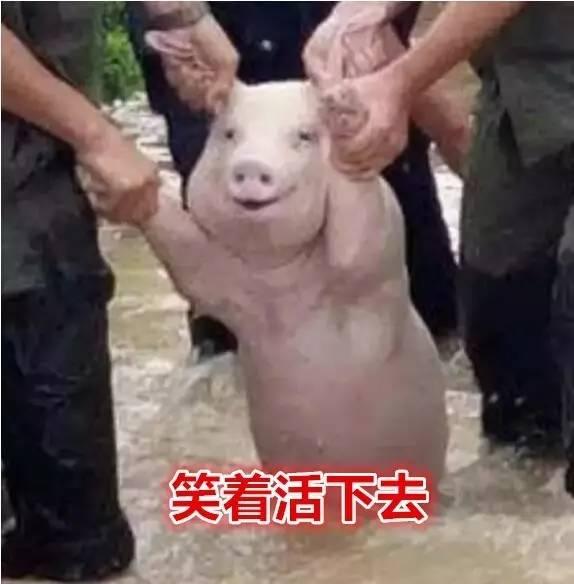 22个关于七夕情人节的最新段子笑话