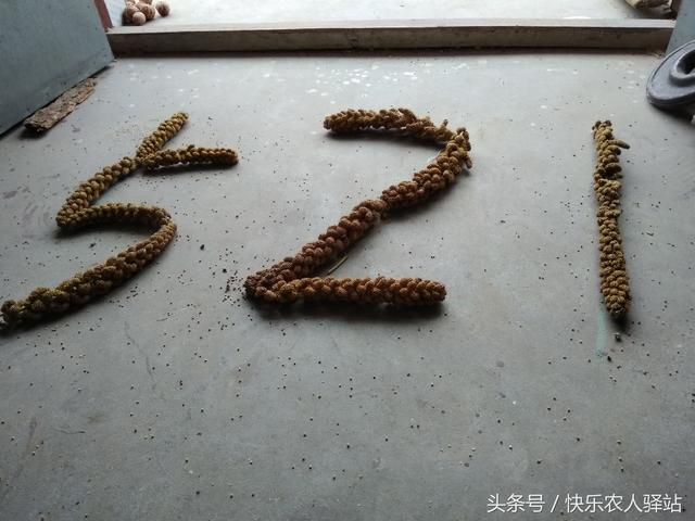 情人节送给女朋友什么礼物农村媳妇收到的情人节礼物，抠门不？