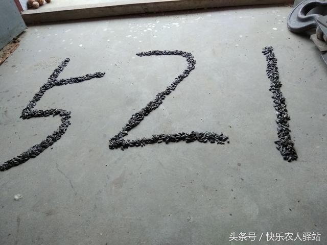 情人节送给女朋友什么礼物农村媳妇收到的情人节礼物，抠门不？