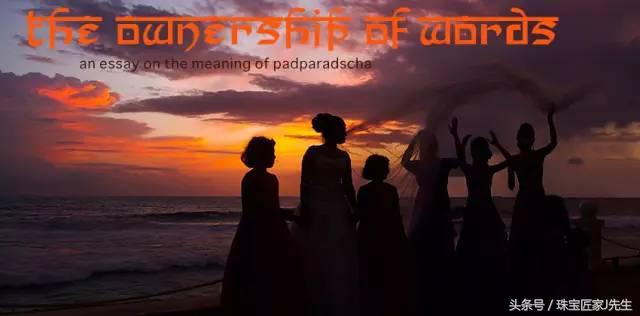 帕拉梅拉是什么意思，看这一篇就够了（帕拉梅拉有什么特色）