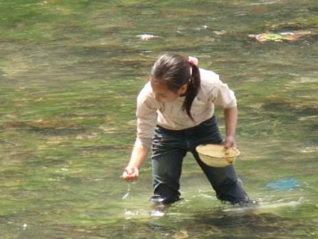 河里的鱼有哪些，河里面野生鱼有哪几种（菜市场河鱼大全）