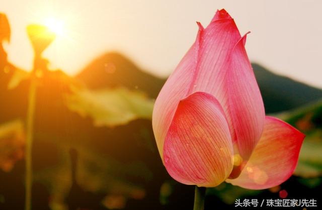 帕拉梅拉是什么意思，看这一篇就够了（帕拉梅拉有什么特色）