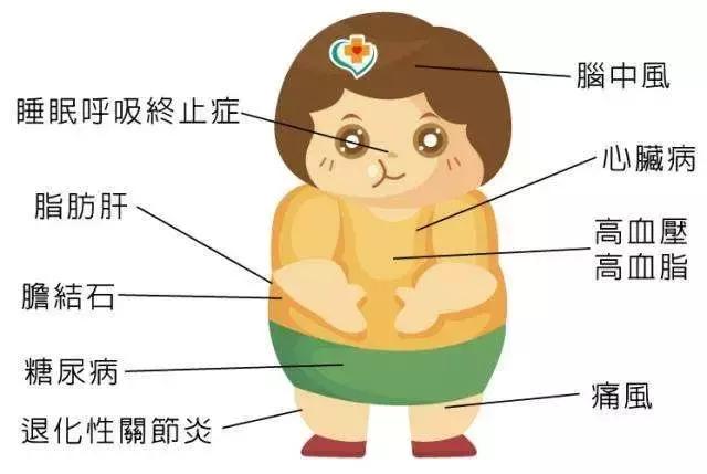 痰湿肥胖是病理肥胖吗(痰湿肥胖和湿热肥胖的区别)