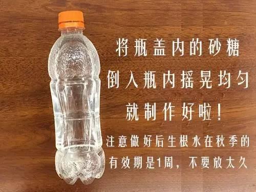 养花生根剂怎么配制杀菌，最简单的生根剂