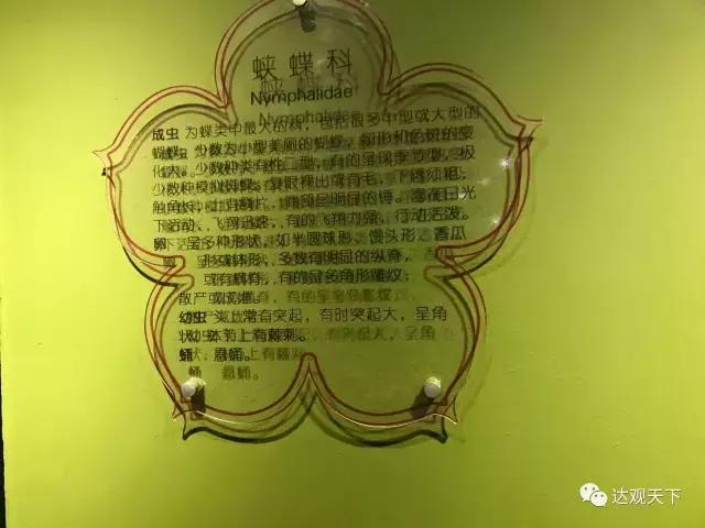 云南蝴蝶泉景点介绍，驰名中外的云南蝴蝶泉