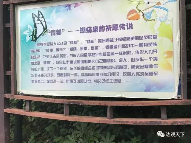 云南蝴蝶泉景点介绍，驰名中外的云南蝴蝶泉