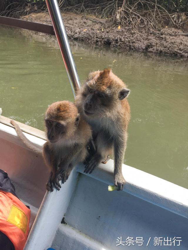 新西兰旅游攻略，新西兰自驾游攻略详细介绍（作为热门旅行地的新西兰有哪些注意事项）