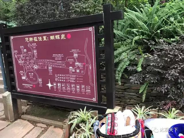 云南蝴蝶泉景点介绍，驰名中外的云南蝴蝶泉