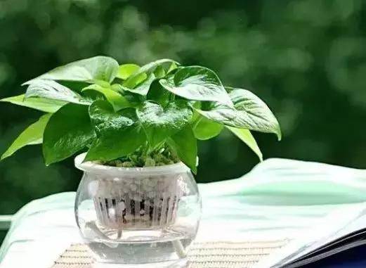 教师节送什么礼物，教师节礼品推荐实用（教师节送老师什么礼物最惊喜）