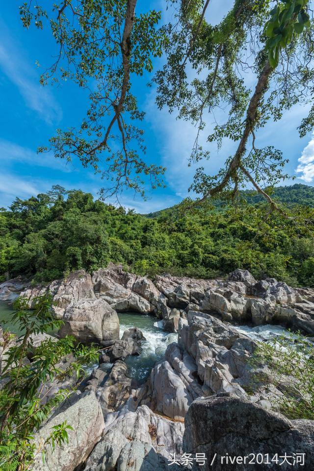 呀诺达热带雨林，呀诺达雨林文化旅游区官网（呀诺达景区探寻热带雨林奇观）