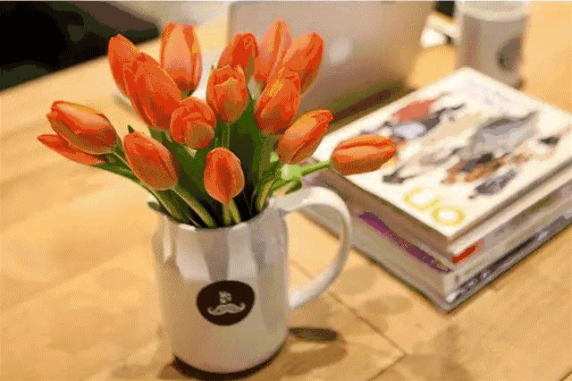 教师节送什么礼物，教师节礼品推荐实用（教师节送老师什么礼物最惊喜）