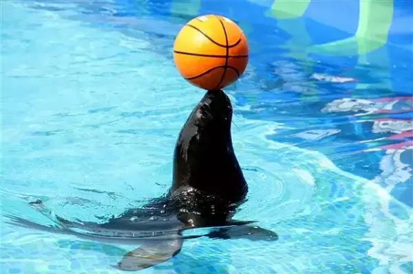 包头周边最好玩的地方有哪些景点，包头人不得不去的几个地方